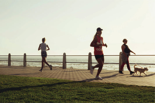 What Are Antioxidants and How to Support Them Naturally for Immunity and Longevity