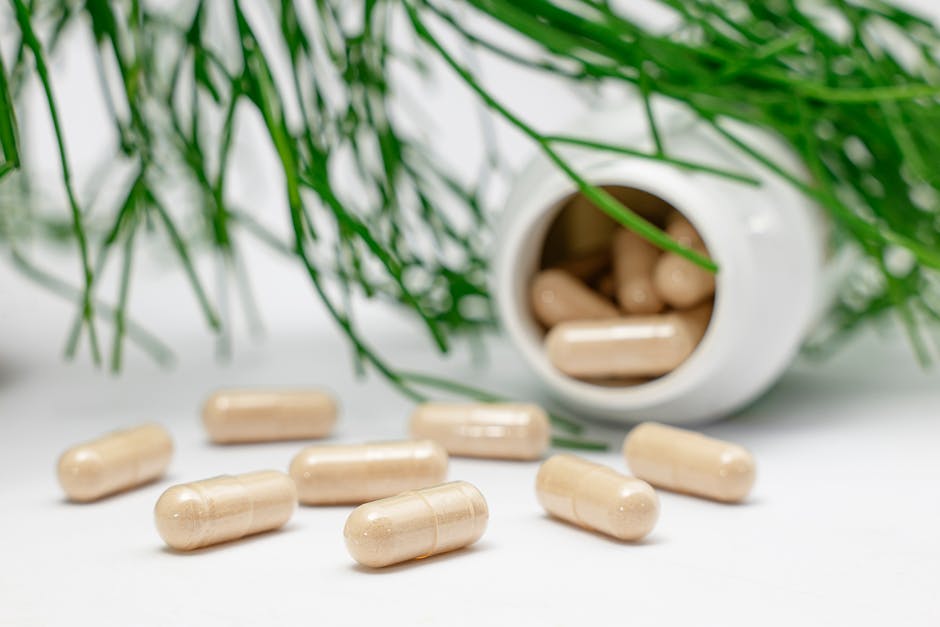 Natural Ways to Increase Energy and Combat Fatigue