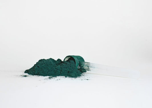 Plant-based protein powders for muscle maintenance