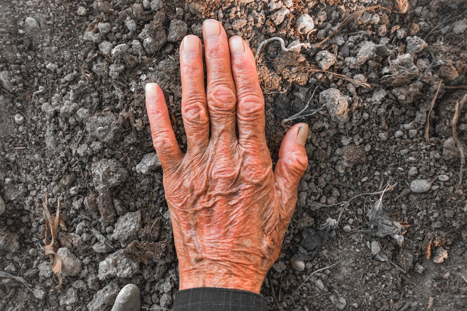Understanding nad+ precursors for longevity