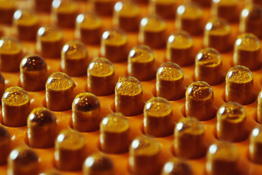 Factors Affecting Bioavailability of Nutrients