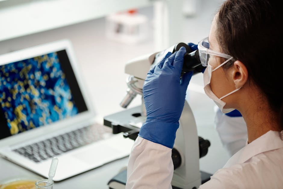 Recent Telomere Research Topics 2023-2026