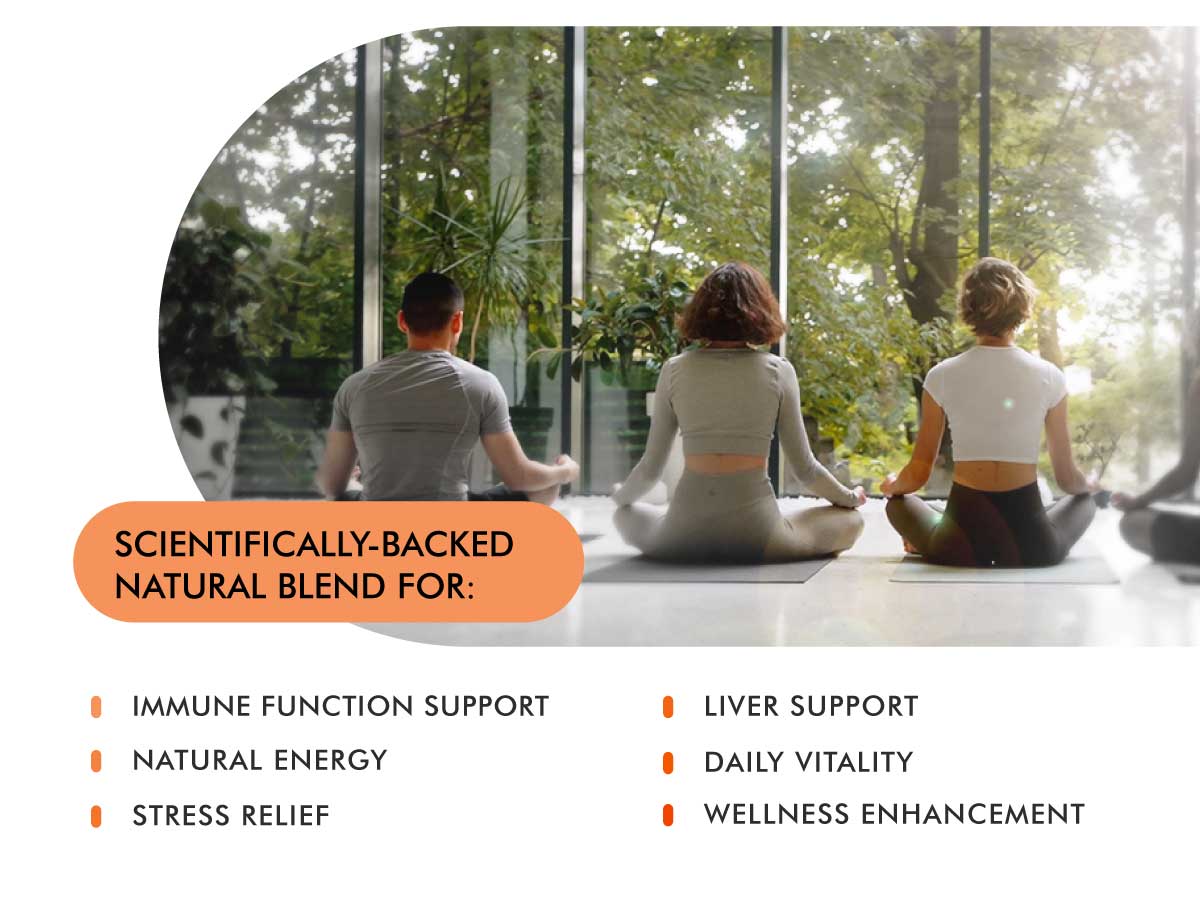 Ultra Mushrooms 5X Advanced Blend for Immunity and Energy Support