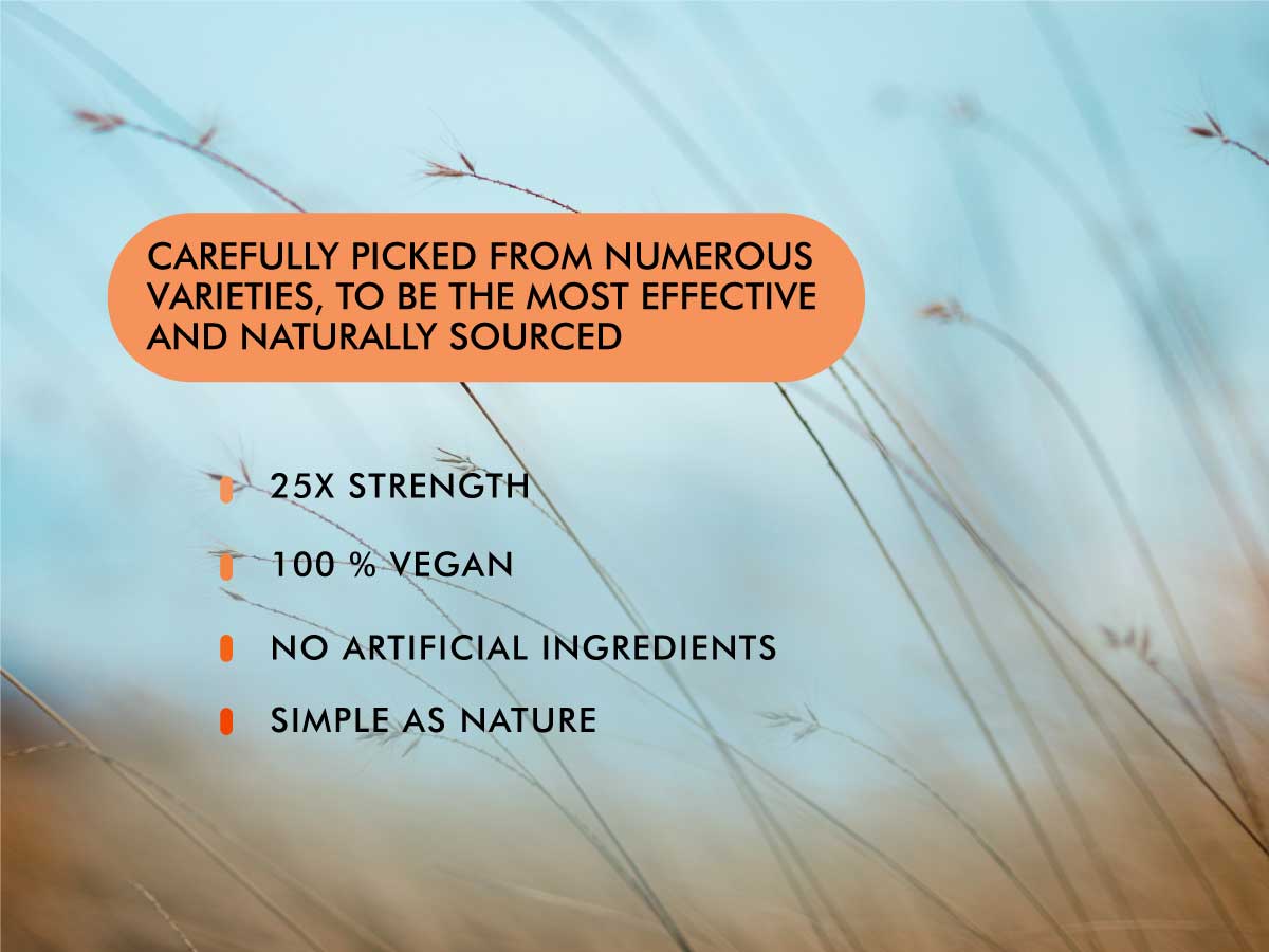 Ultra Mushrooms 5X Advanced Blend for Immunity and Energy Support